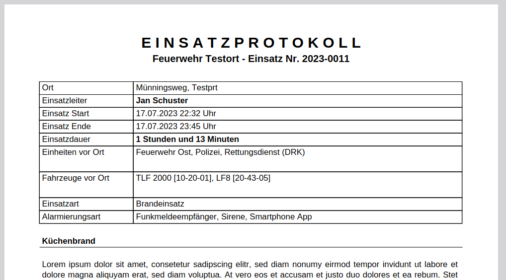 PDF Abbild vom Einsatzbericht